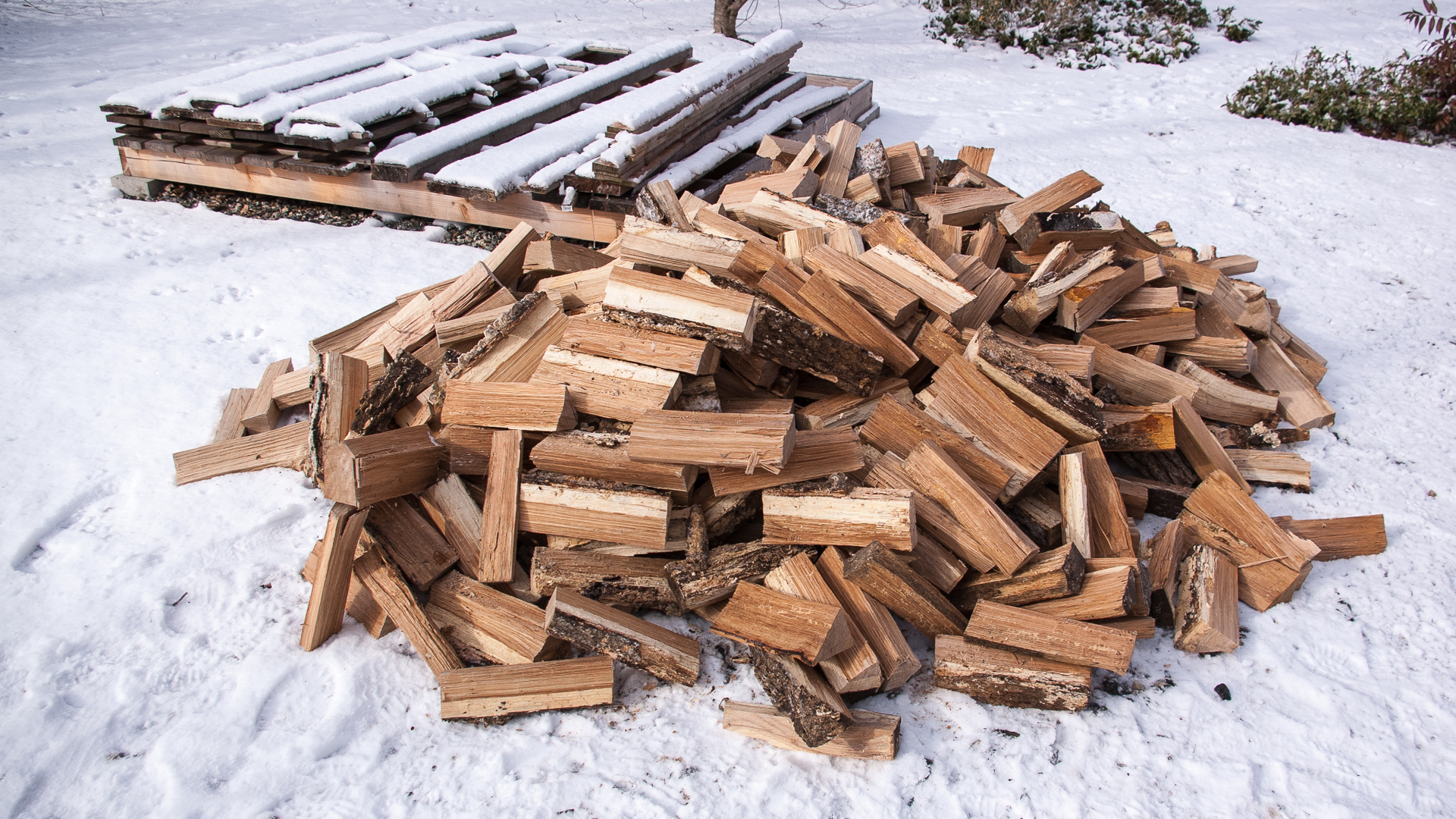 Splitting White Oak Firewood • SawsandSplitters.com