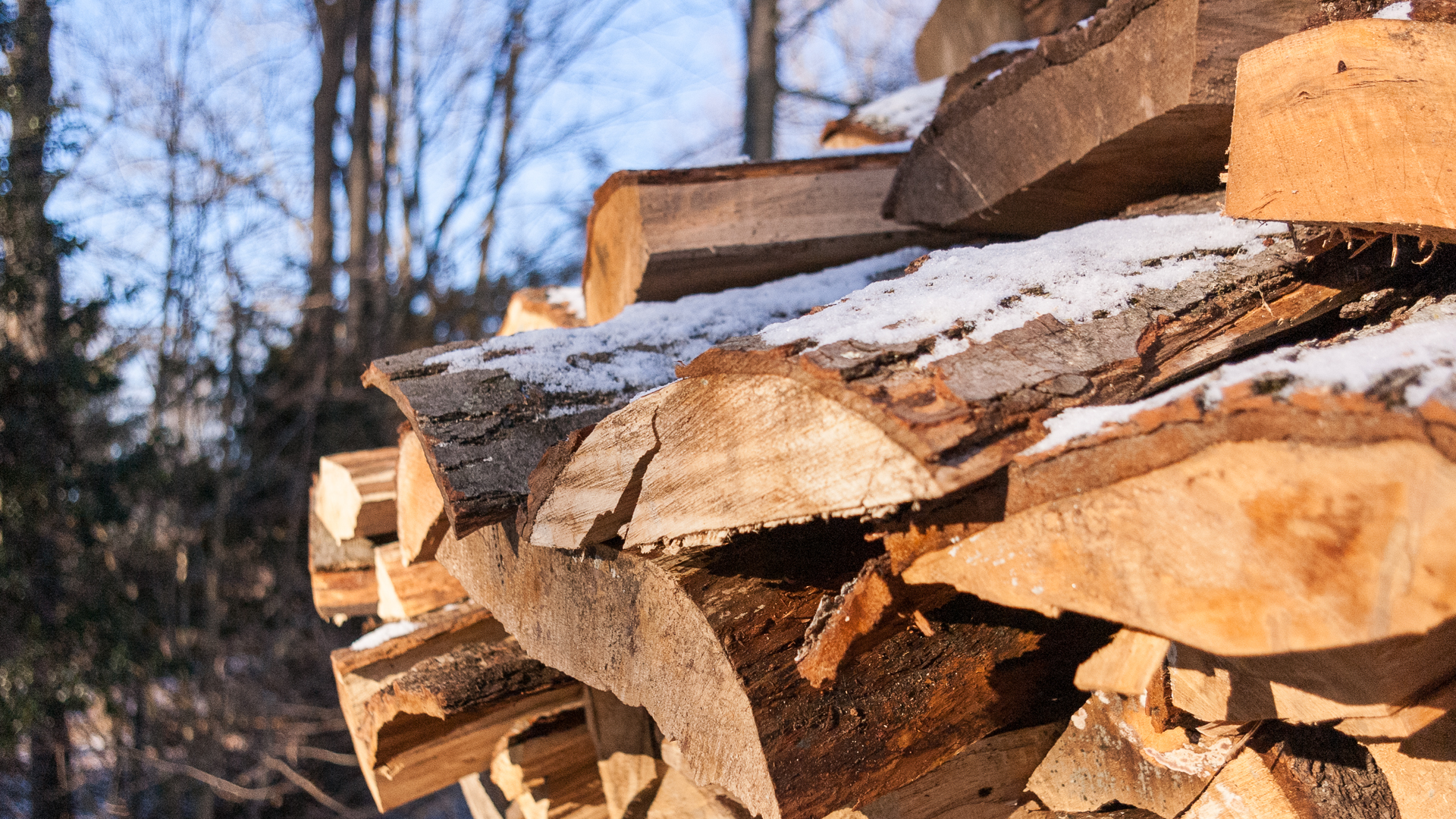 Fresh snow on the holz hausen firewood stack • SawsandSplitters.com